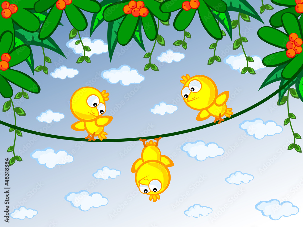 canaries on branch