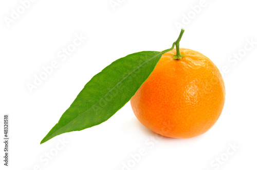 Tangerine isolated