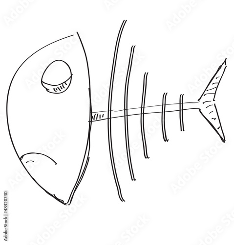 Fish skeleton