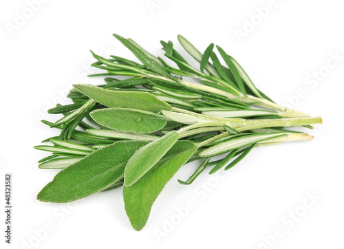 Twig of rosemary and sage