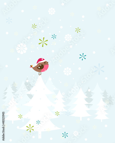 robin christmas bird