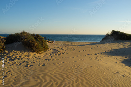 Costal dunes