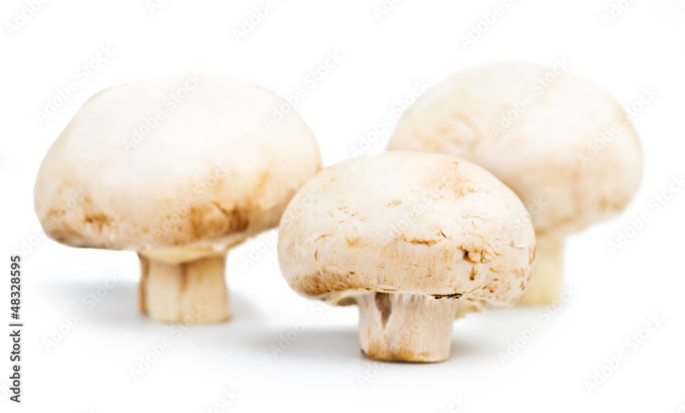 Champignon mushrooms isolated on white background Champignon mushrooms isolated on white background