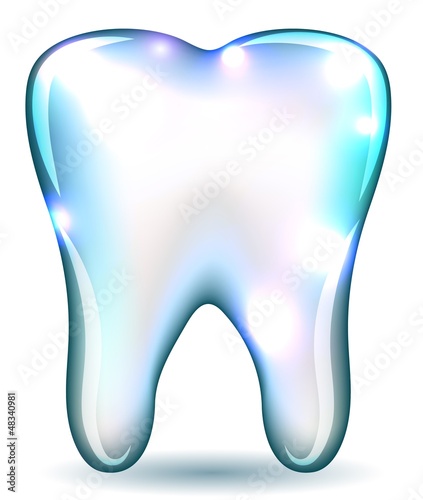 White tooth isolated on a white background.