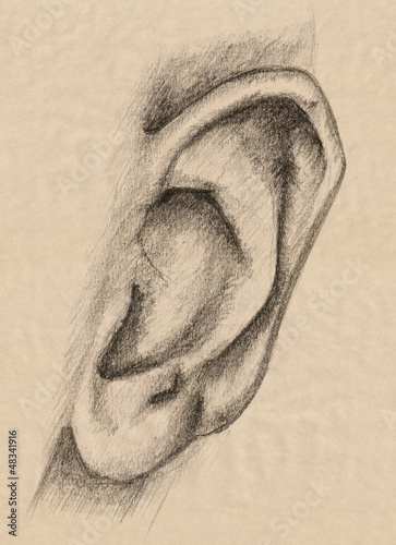 human ear pencil drawing