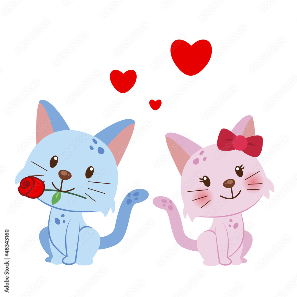 illustration of a pair of cat
