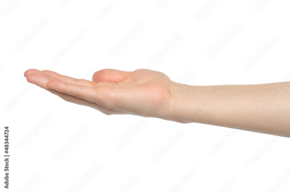 Open woman hand on white background. Open woman hand on white background.