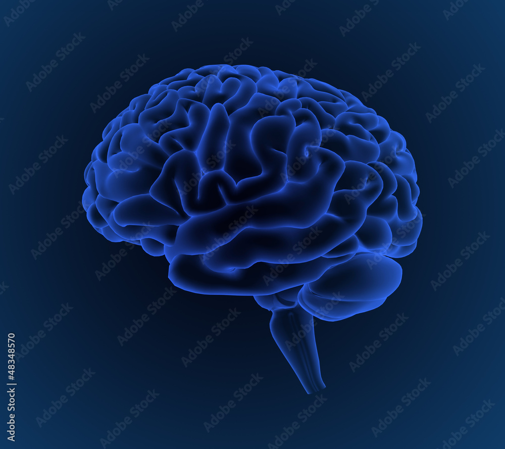 Cerebro azul Cerebro azul