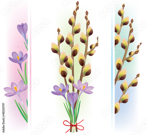 Easter symbols crocuses and pussy willow