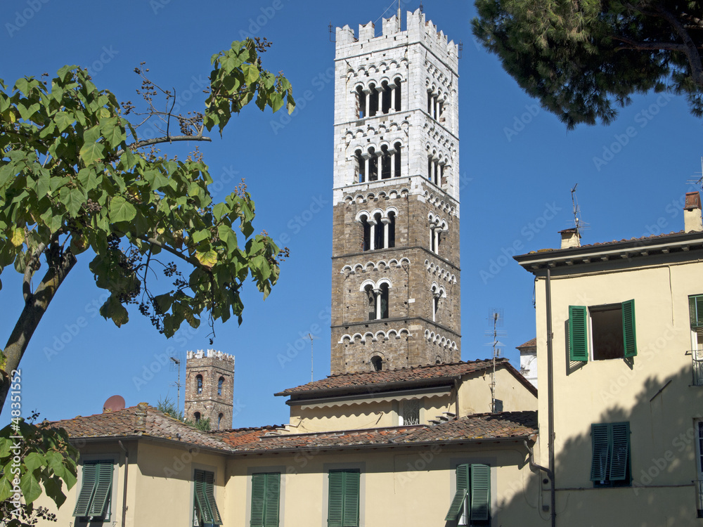 Obraz premium Dom San Martino in Lucca, Toskana, Italien