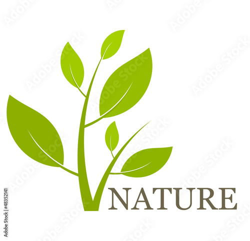 Green plant