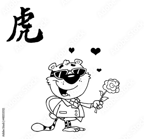 Black And White Tiger Holding A Box Of Candies And A Rose