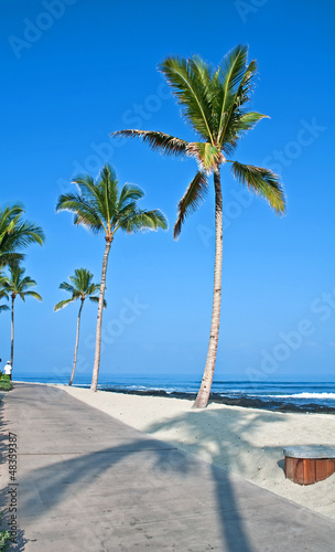Tropical Island Beach and Sidewalk
