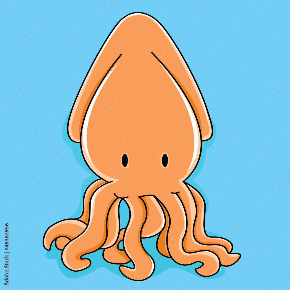 Squid