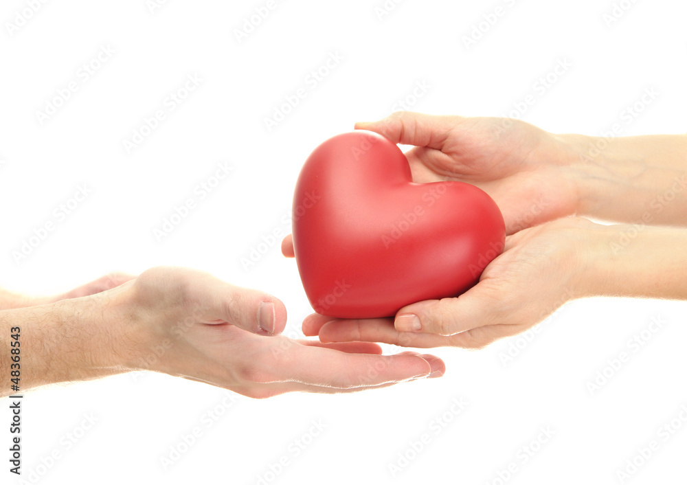 Obraz premium Red heart in woman and man hands, isolated on white