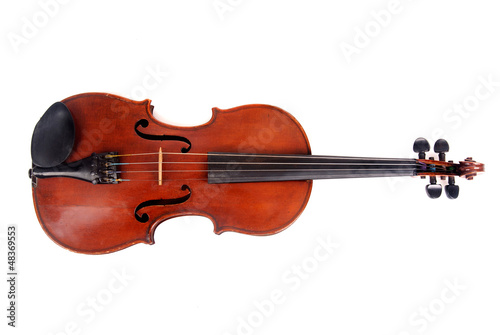violin