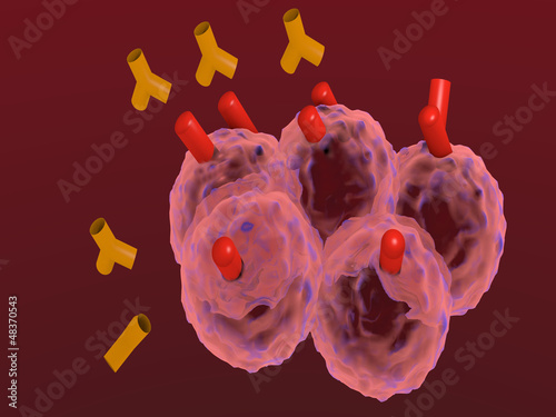 anticorpi monoclonali attaccano cellule tumorali