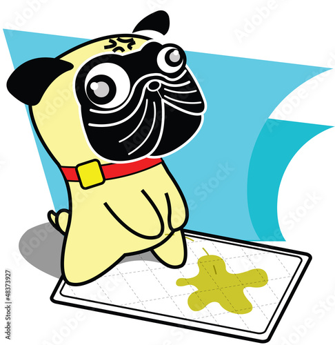 Pug peeing