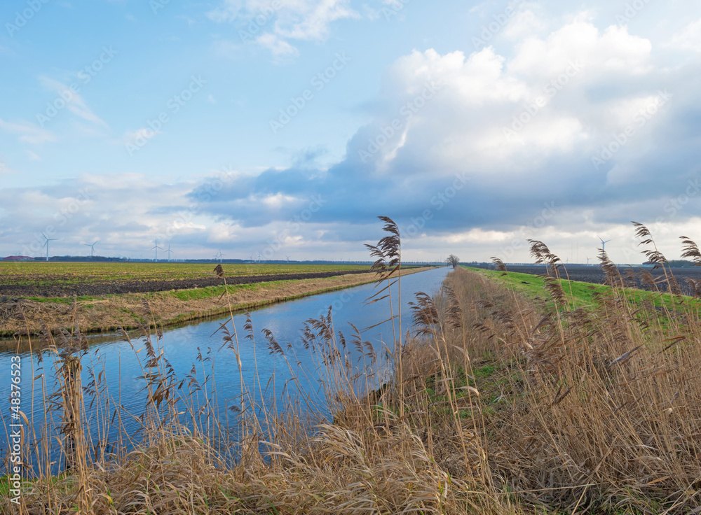 Canal through the countryside in winter Canal through the countryside in winter