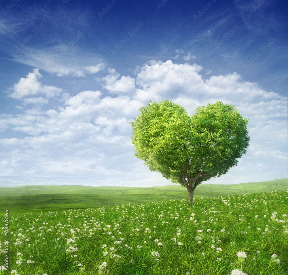 Tree in the shape of heart, valentines day background, - obrazy, fototapety, plakaty 