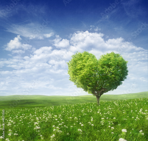 drzewo-w-ksztalcie-zielonego-serca
