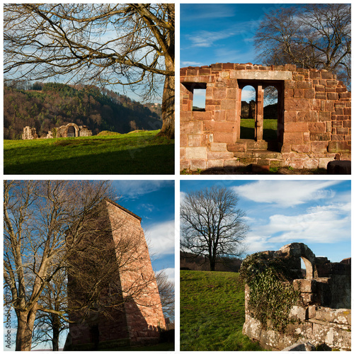 composition château de Lutzelbourg photo