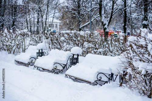bench in the park in winter © dbrus