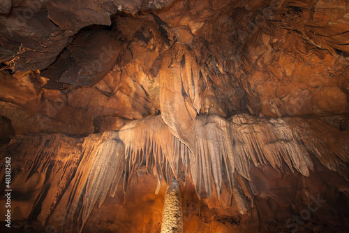 Obraz na płótnie Mamoth Cave National Park w salonie