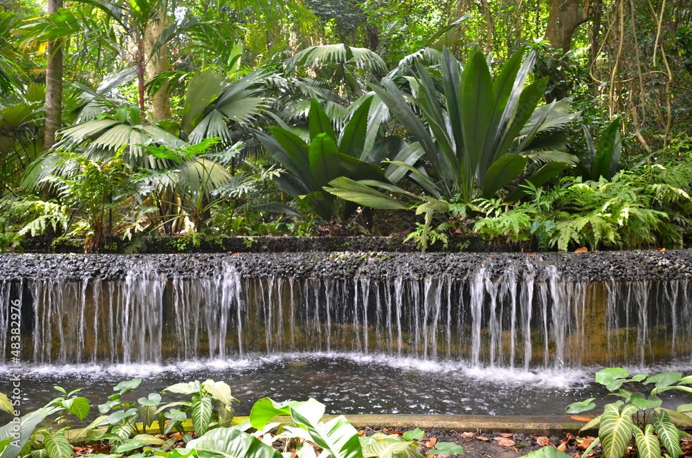 Obraz premium Singapore Botanic Gardens