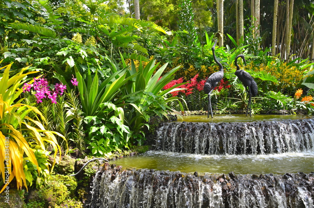Naklejka premium Singapurskie Ogrody Botaniczne