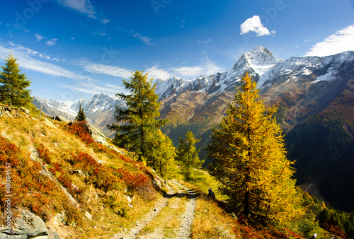 Bietschorn mountain peak in autumn with hiking trail #48384557