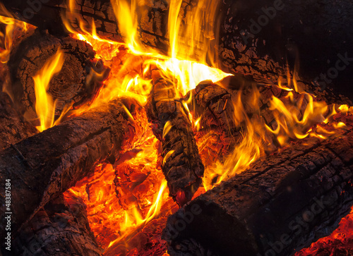 Burning wood on fireplace, campfire macro photo
