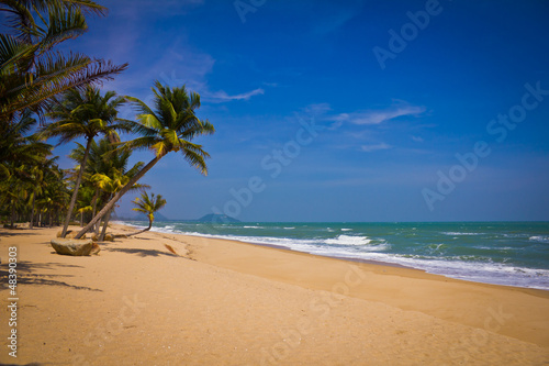 Tropical Beach with Coconut Palm Trees © Nattnicha