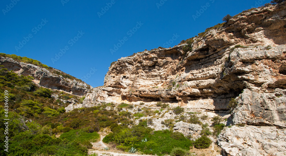 rocky scrubby landscape
