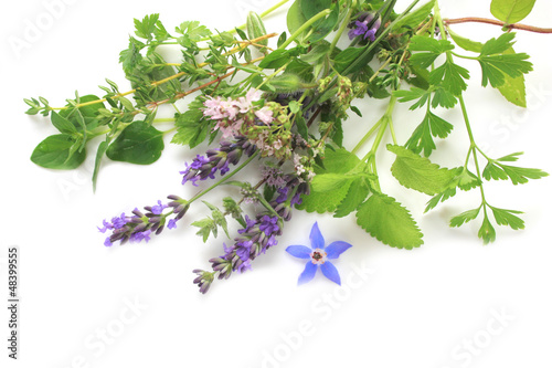 Aromatic fresh herbs