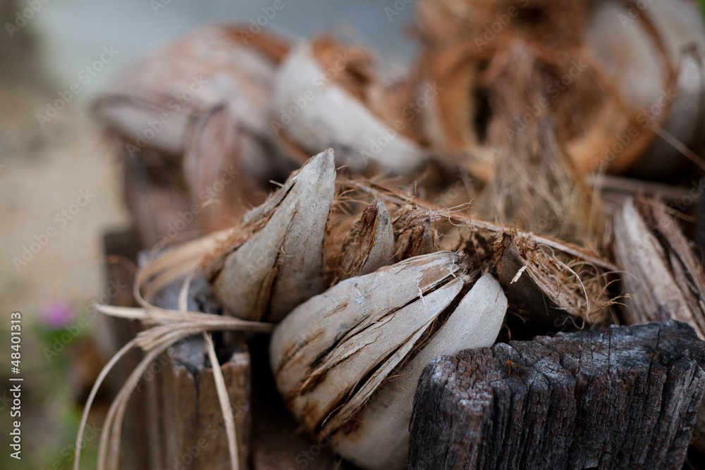 Tropical Coconut dry Shell and fiber peel for coconut milk. close up Island summer plant brown color.