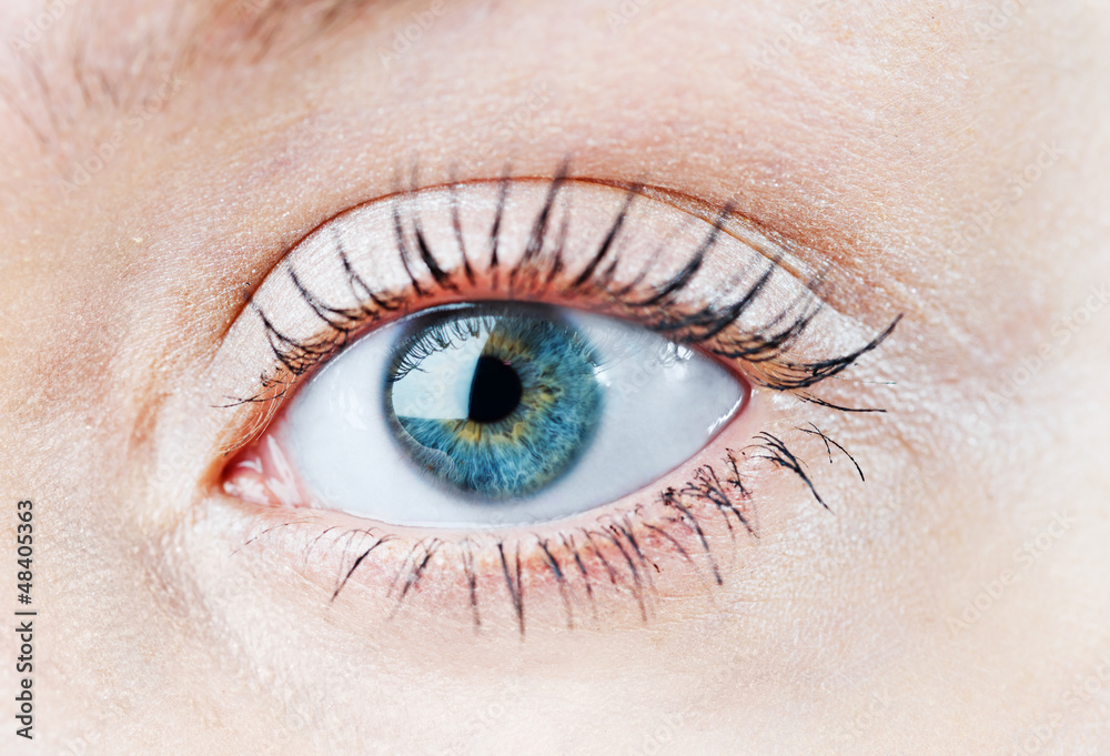 Obraz premium Human blue eye. macro shooting