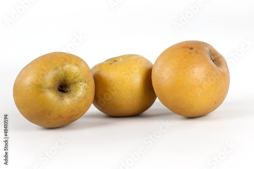tre mele in riga photo