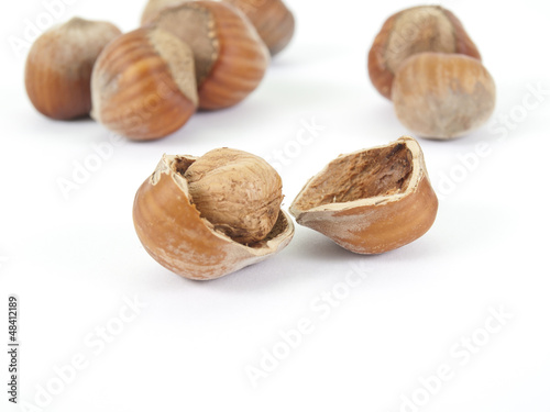 the broken nut of a leshchina