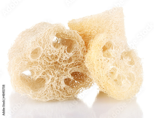 Obraz na płótnie Loofah isolated on white