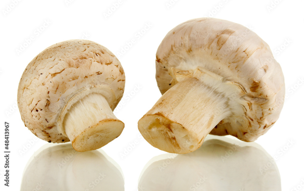 Fresh mushrooms isolated on white Fresh mushrooms isolated on white