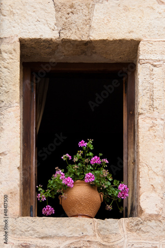 Flowery window
