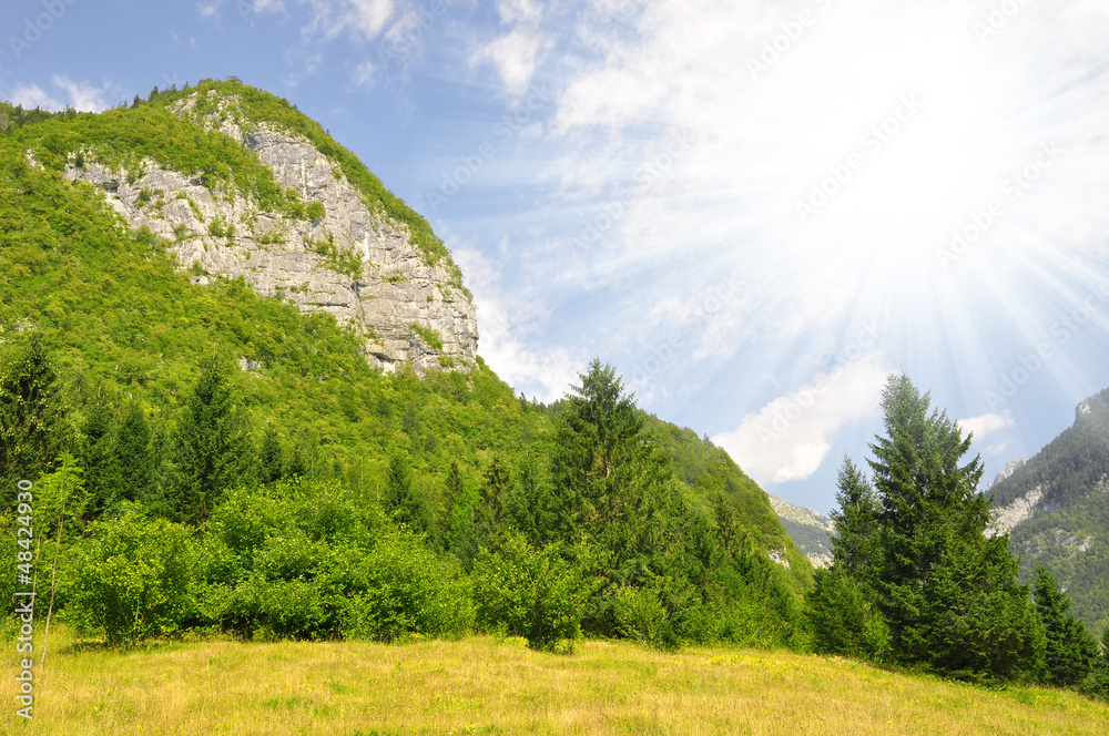 Valley Voje in Triglav National Park - Julian Alps, Slovenia