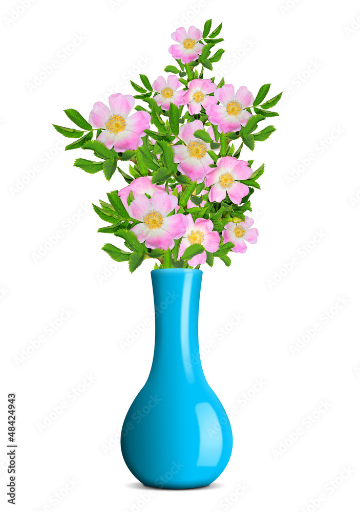 dog rose in the blue vase dog rose in the blue vase