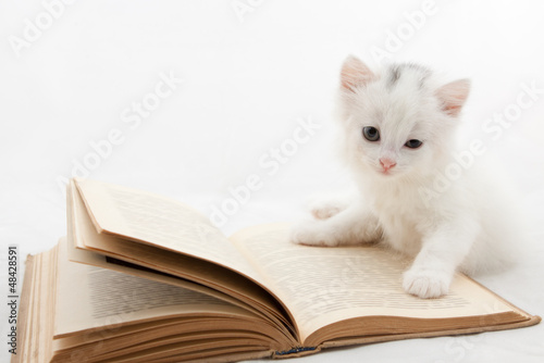 Cute kitten lying on old book