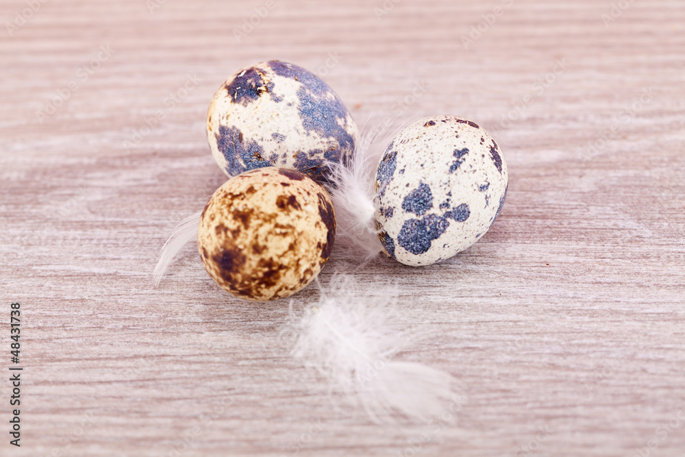 Obraz premium Traditionelle Oster Dekoration mit Wachtel Eiern und Federn auf