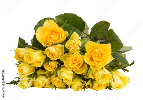 yellow roses