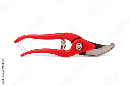 Pruner isolated on white