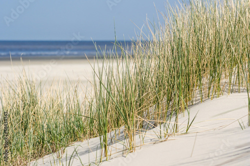 Sand dunes at the coast of the Netherlands