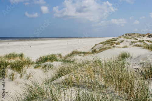 Sand dunes at the coast of the Netherlands